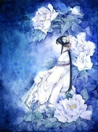 大乾憨婿